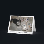 Funny Friends Welppy Birthday Card Karte<br><div class="desc">"Charlie & Boo" rettet Havanna Puppies -p hoto von Patricia Merewether</div>