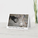 Funny Friends Welppy Birthday Card Karte<br><div class="desc">"Charlie & Boo" rettet Havanna Puppies -p hoto von Patricia Merewether</div>