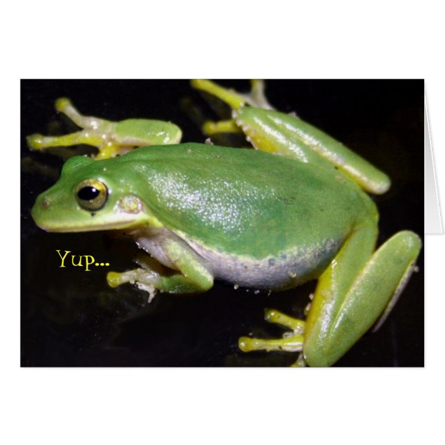 Funny Frog Card (Vorderseite (Horizontal))