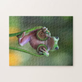Funny Frog Puzzle (Horizontal)