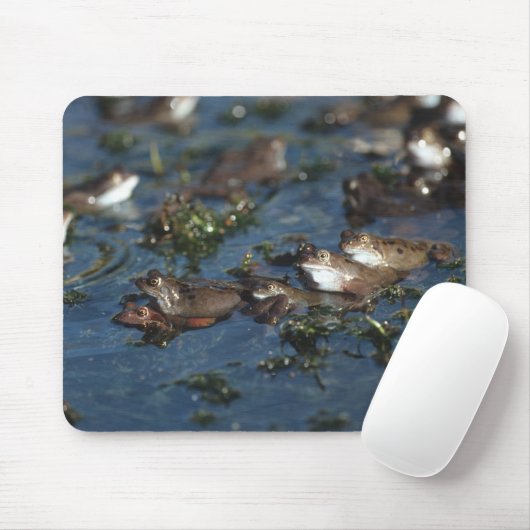 Funny Frogs Mousepad (Mit Mouse)