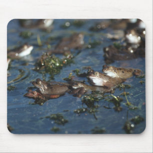 Funny Frogs Mousepad