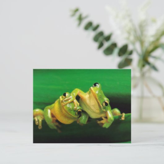 Funny Frogs Postkarte (Stehend Vorderseite)