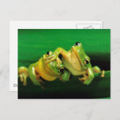 Funny Frogs Postkarte (Vorne/Hinten)
