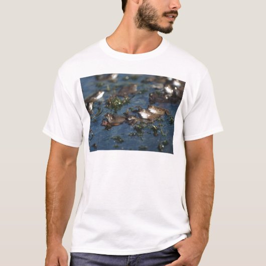 Funny Frogs T-Shirt (Vorderseite)