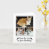 Funny from Cat Hund Haustier 3 Foto Script Geburts Karte (Gelbe Blume)