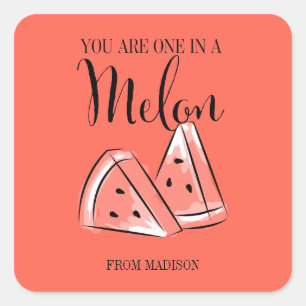 Funny Fruit Pun Melon Valentine Sticker