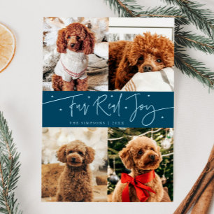 Funny Fur Real Jog Dog Foto Aquamarin Weihnachten