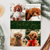 Funny Fur Real Jog Dog Foto Grün Weihnachten