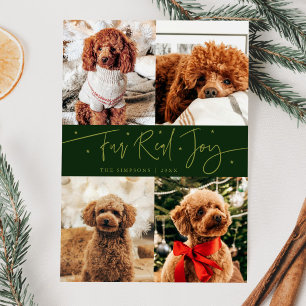 Funny Fur Real Jog Dog Foto Grün Weihnachten
