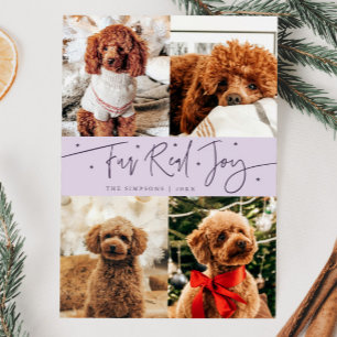 Funny Fur Real Jog Dog Foto Lila Weihnachten
