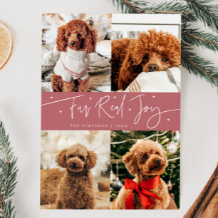 Funny Fur Real Jog Dog Foto Pink Weihnachten