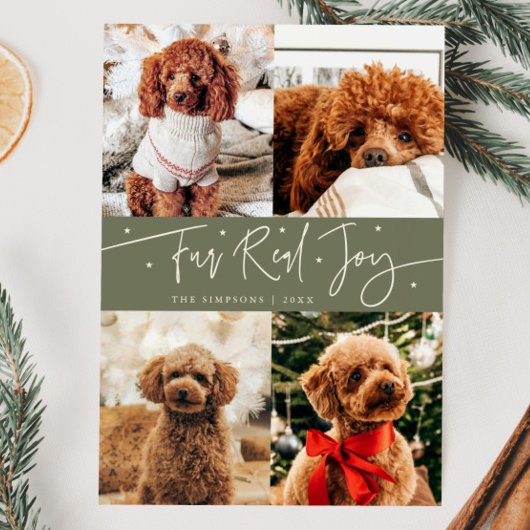 Funny Fur Real Jog Dog Foto Sage Grün Weihnachten