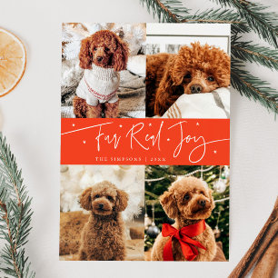 Funny Fur Real Jog Dog Foto Weihnachten