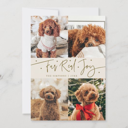 Funny Fur Real Jog Dog Foto Weihnachten Weihnachte (Vorderseite)