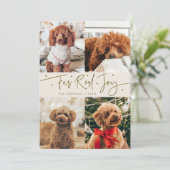 Funny Fur Real Jog Dog Foto Weihnachten Weihnachte (Stehend Vorderseite)