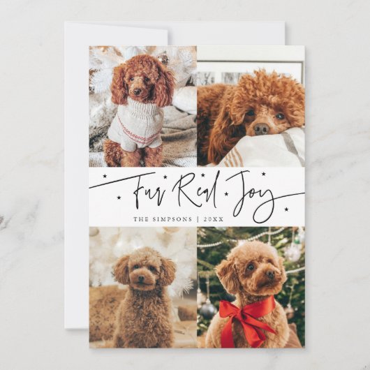 Funny Fur Real Jog Dog Foto Weiße Weihnachten (Vorderseite)