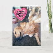 Funny Furry Golden Retriever Muttertag Karte (Vorderseite)