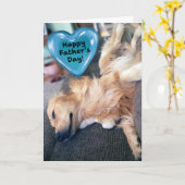Funny Furry Golden Retriever Vatertag Karte (Gelbe Blume)