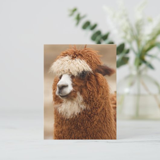 Funny Fuzzy Llama Postkarte (Stehend Vorderseite)