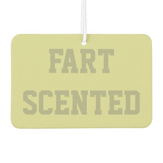 Funny Gag Gift Air Freshener Autolufterfrischer (Vorderseite)
