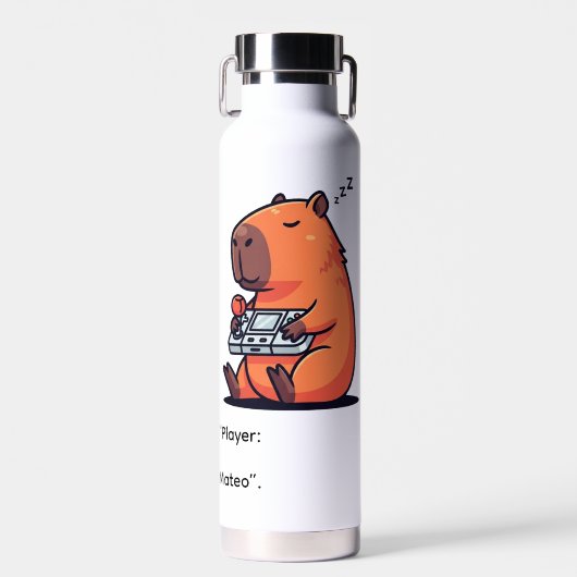 Funny Gaming Thermos – Capybara Retro Style Trinkflasche (Vorne)