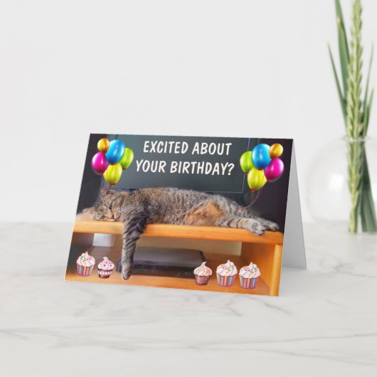 Funny gelangweilte Katze Geburtstag geklappte Gruß Karte (Vorderseite)