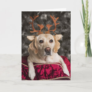 Funny Gelbe Labrador Weihnachtskarten Feiertagskarte