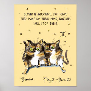 Funny Gemini Poster Zodiac Cat Star Schild Plakat