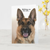 Funny German Shepherd Birthday Card Karte (Gelbe Blume)