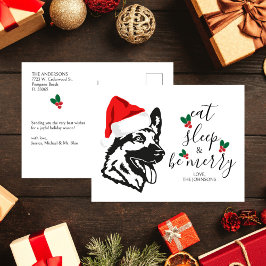 Funny German Shepherd Weihnachtsmannmütze Script W Feiertagspostkarte
