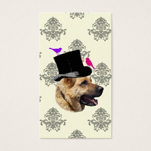 Funny German shepherdog (Vorderseite)