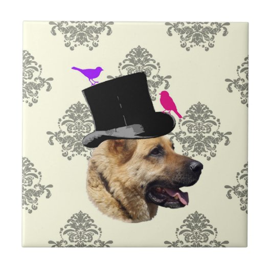 Funny German shepherdog Fliese (Vorderseite)