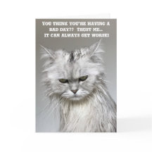 Funny Get Well Bald Card