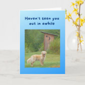Funny Get Well Card Dog vor Outhouse Karte (Gelbe Blume)