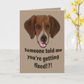 Funny Get well card für Hunde Karte (Gelbe Blume)