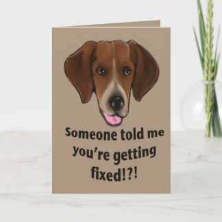Funny Get well card für Hunde Karte