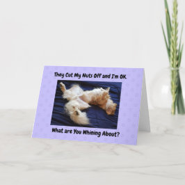 Funny Get Well Card Golden Retriever abbiegen Karte