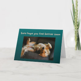 Funny Get Well Card Hund braucht seinen Bauch Rubs Karte