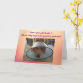 Funny Get Well Card Hund in Cone Karte (Gelbe Blume)