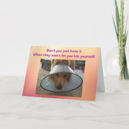 Funny Get Well Card Hund in Cone Karte