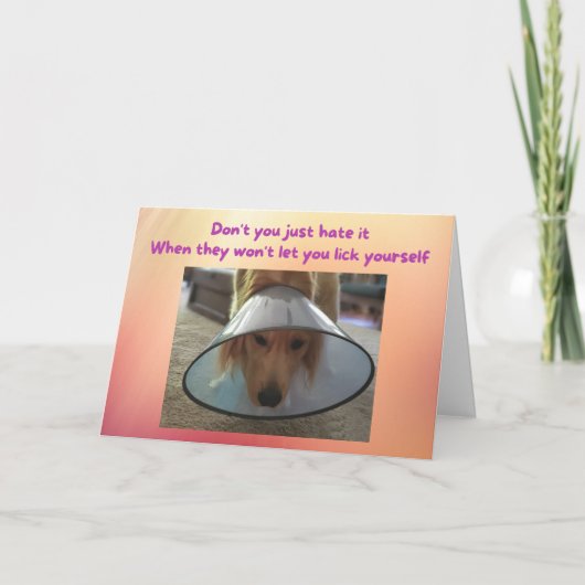 Funny Get Well Card Hund in Cone Karte (Vorderseite)