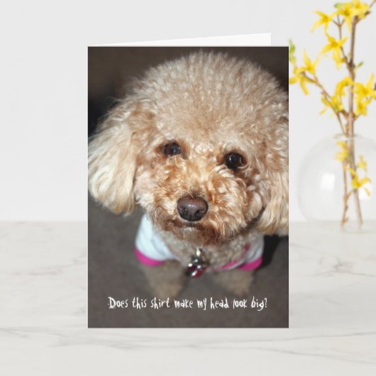 Funny get well Card Karte (Gelbe Blume)