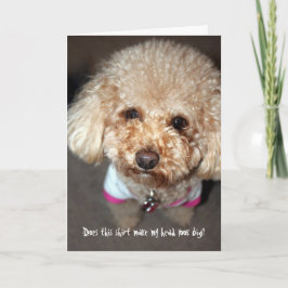 Funny get well Card Karte