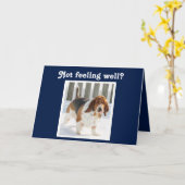 Funny Get Well Card mit Niedlichem Basset Hound Karte (Gelbe Blume)