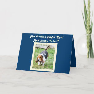 Funny "Get Well" Card mit Niedlichem Basset Hound  Karte