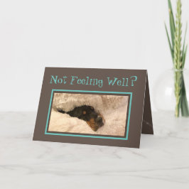 Funny Get Well Card W/Basset Hound Doctor Feiertagskarte