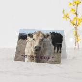 Funny Get Well - Cute White Cow - Ranch or Farm Karte (Gelbe Blume)
