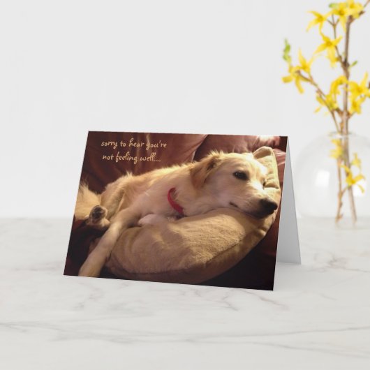 Funny Get Well, Niedlich Sleeping Hund Träume Karte (Gelbe Blume)