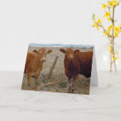 Funny Get Well - Red Cow Animal Spaß - Ranch Karte (Gelbe Blume)